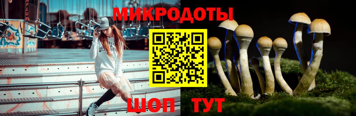 Псилоцибиновые грибы GOLDEN TEACHER Медногорск